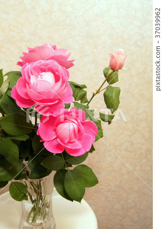 花瓶玫瑰（Paul Neillon） 37039962