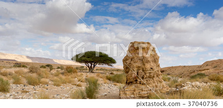 Trekking in Negev dramatic stone desert, Israel 37040736