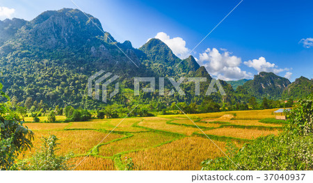 Rural landscape.Vang Vieng, Laos. Panorama 37040937