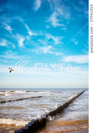 Old wooden groyne on a beach. Old wooden groyne on a beach. 37041954