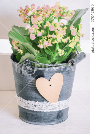 Flower in bucket and paper heart 37042969