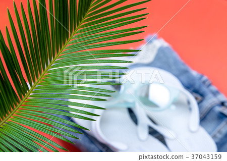 Tropical Background Palm Trees Branches with 37043159