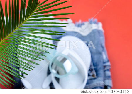 Tropical Background Palm Trees Branches with 37043160