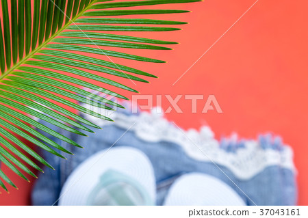 Tropical Background Palm Trees Branches with 37043161