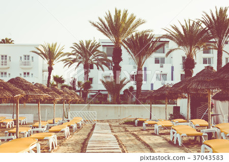 Beach loungers and umbrellas on the sea.  37043583