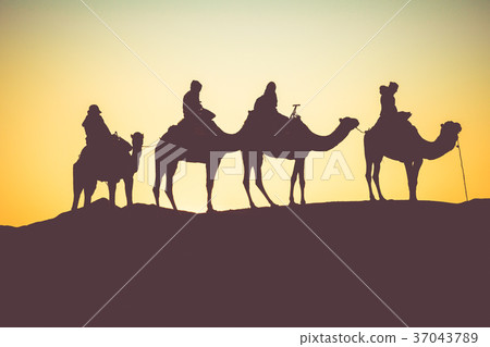 Camel caravan with people Camel caravan with people 37043789