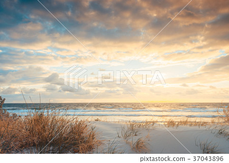 West Beach at sunset 37043896