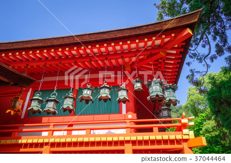 Kasuga-Taisha Shrine temple, Nara, Japan Kasuga-Taisha Shrine temple, Nara, Japan 37044464