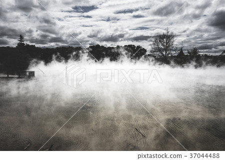 Misty lake and forest in Rotorua, New Zealand 37044488