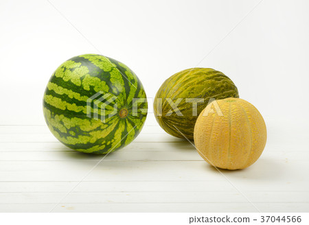 ripe melon varieties 37044566