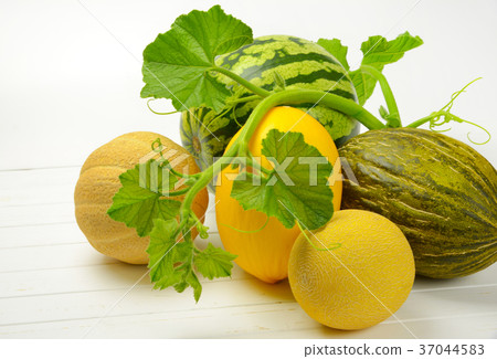 ripe melon varieties 37044583