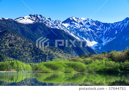 長野_新鮮的綠色Kamikochi大正池 37044781