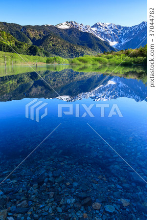 長野_新鮮的綠色Kamikochi大正池 37044782