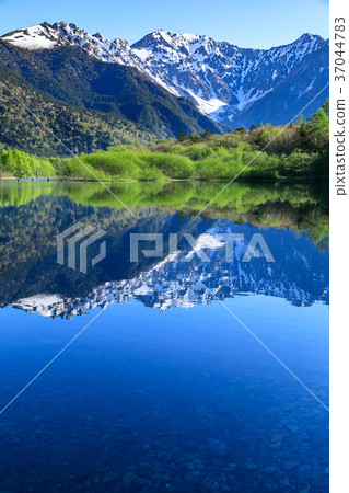 長野_新鮮的綠色Kamikochi大正池 37044783