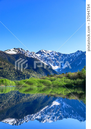 長野_新鮮的綠色Kamikochi大正池 37044784