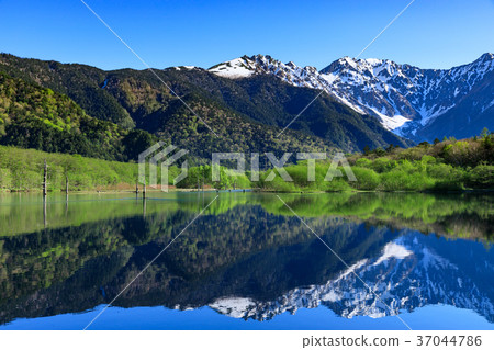 長野_新鮮的綠色Kamikochi大正池 長野_新鮮的綠色Kamikochi大正池 37044786