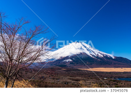《Yamanashi Prefecture》 Panoramic view from Mt. Fuji/Lake Yamanaka 37045076