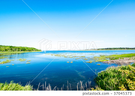 春天鄉村(Shunkunini)北海道 春天鄉村(Shunkunini)北海道 37045373