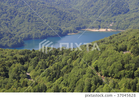 從日光Shirane山索道看到的Marunuma地區 37045628