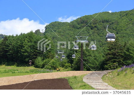 在Nikko Shiraneyama Ropeway Yamakasa Station附近 37045635