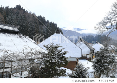 Winter green demon community 37045796