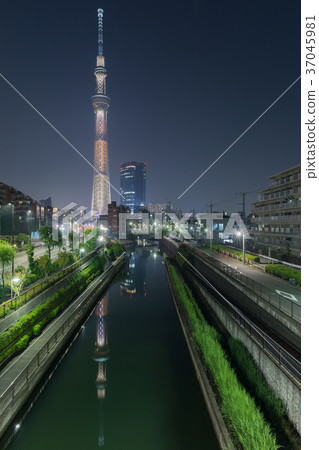 天空樹_新顏色“登No” 天空樹_新顏色“登No” 37045981