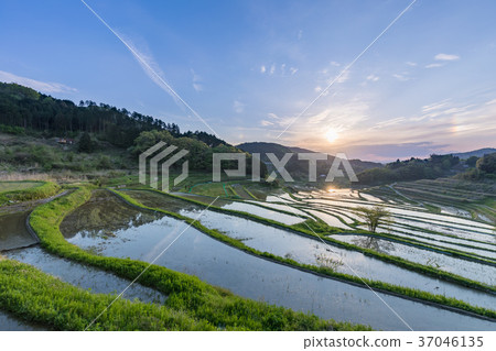 Okayama_ terrace rice terraces of Otsuki Kazuni 37046135