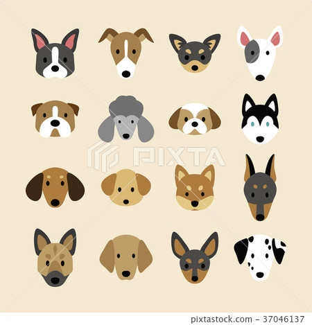 dog, dogs, breeds of dog - Stock Illustration [37046137] - PIXTA