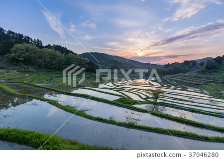 Okayama_ terrace rice terraces of Otsuki Kazuni 37046280