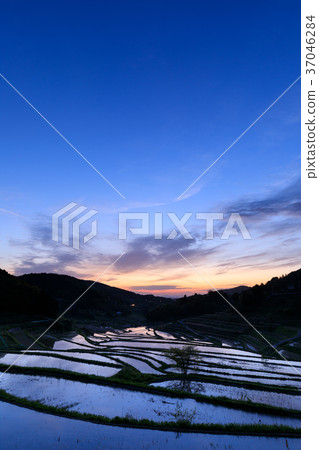 Okayama_ terrace rice terraces of Otsuki Kazuni 37046284