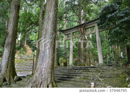 Nachi-no-taki (Nachi Otaki) Hida Shrine (Wakayama Prefecture Higashi-Gun-gun Nachi Katsuura-cho) 37046795