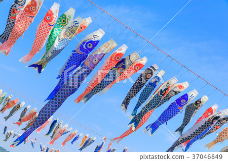 游泳在天空的鯉魚飄帶 游泳在天空的鯉魚飄帶 37046849