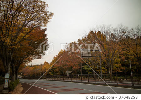 Matsudo, Chiba, Japan Matsudo, Chiba, Japan 37048258