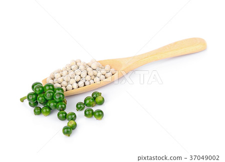 peper isolated on white background peper isolated on white background 37049002