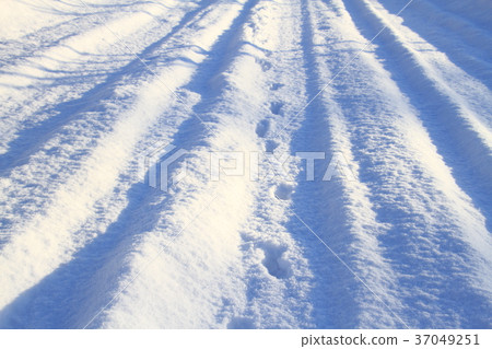 Snowy road before animal removal in winter in Hokkaido, animal footprints 37049251