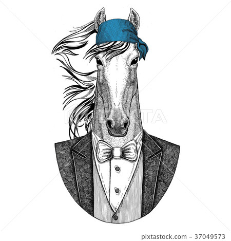 Horse, hoss, knight, steed, courser Wild biker 37049573