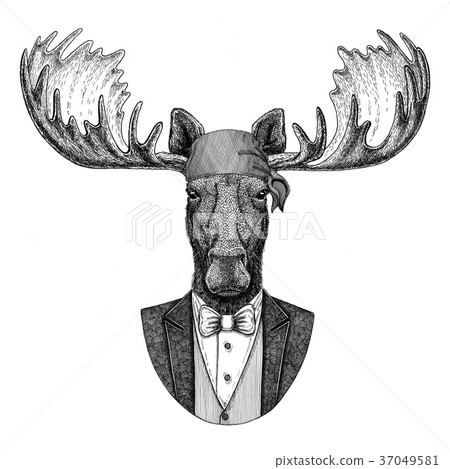 Moose, elk Wild biker, pirate animal wearing Moose, elk Wild biker, pirate animal wearing 37049581
