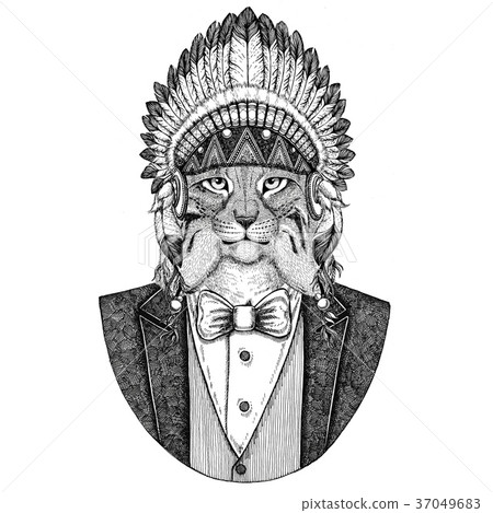 Wild cat Lynx Bobcat Trot Wild animal wearing 37049683