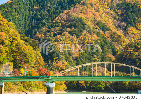 <Tokyo> Autumn Okutama Lake, natural scenery <Tokyo> Autumn Okutama Lake, natural scenery 37049835