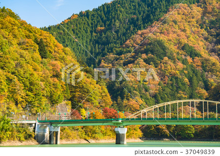 <東京>秋天的奧多摩湖，自然風光 37049839
