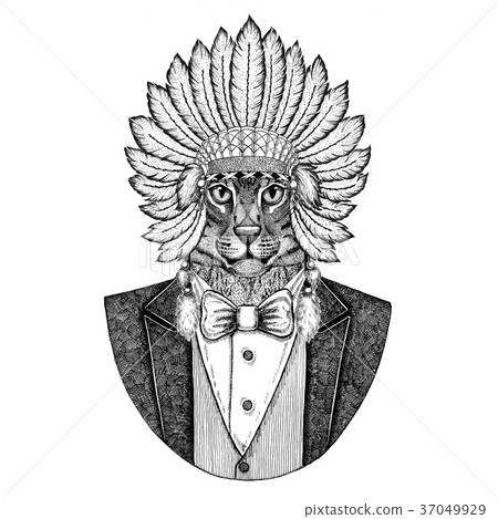 Wild cat Fishing cat Wild animal wearing inidan 37049929