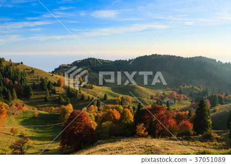 Autumn mountain landscape Autumn mountain landscape 37051089