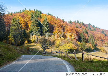 Autumn mountain landscape Autumn mountain landscape 37051094