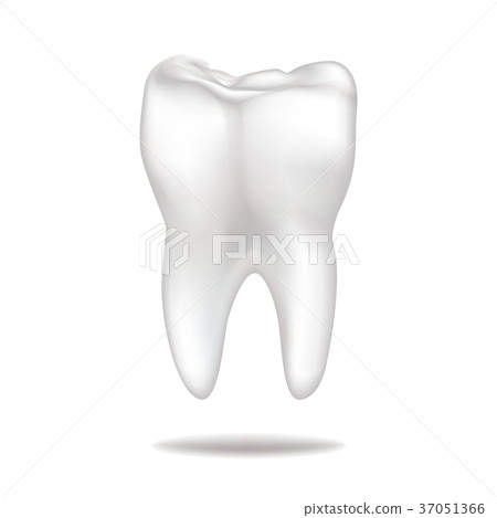 Tooth icon. Teeth sign. Dental medical background Tooth icon. Teeth sign. Dental medical background 37051366