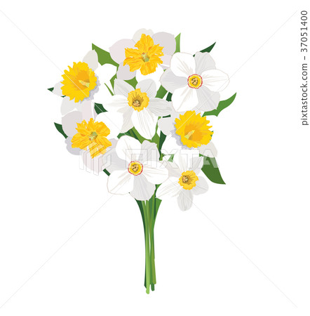 Flower bouquet. Floral frame greeting card decor - Stock Illustration ...