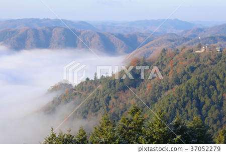 松山城的Biz Naka 37052279