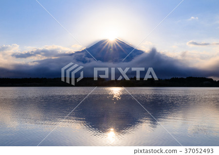 Shizuoka _ Lake Tanuki Diamond Fuji 37052493