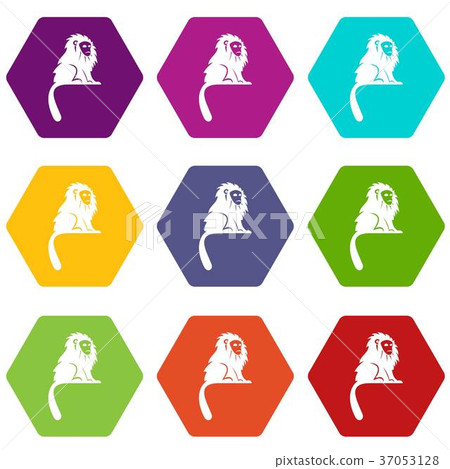 Hairy monkey icon set color hexahedron 37053128