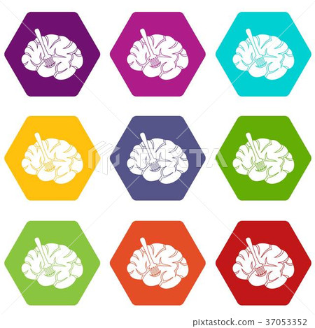 Fork is inserted into the brain icon set color hexahedron Fork is inserted into the brain icon set color hexahedron 37053352