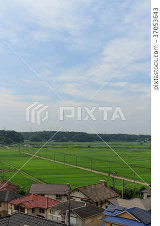 農村風景在千葉在夏天 農村風景在千葉在夏天 37053643